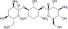 Aminoglycoside antibiotic