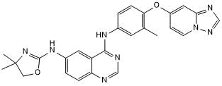 Potent and selective ErbB2 inhibitor