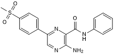 High affinity and selective ATP-competitive ATR inhibitor