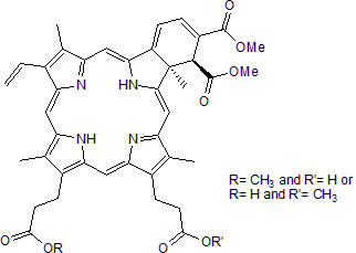 YAP inhibitor