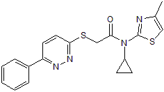 Potent and selective KCC2 inhibitor