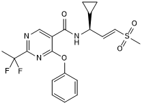 Potent WRN covalent allosteric inhibitor; orally bioavailable