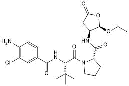 High affinity and selective caspase-4 and caspase 1/ICE inhibitor; orally bioavailable