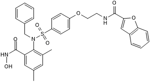 Potent and selective inhibitor of MMP-13