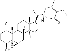 Inhibits NF-&kappa;B activation