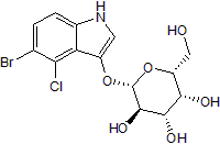 Used in cloning procedures with IPTG