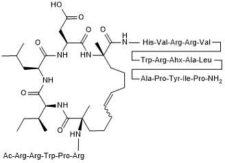 Selective peptide-based &#946;-catenin Degrader (PROTAC&reg;)