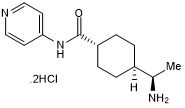 Y-27632 synthesized to cGMP guidelines