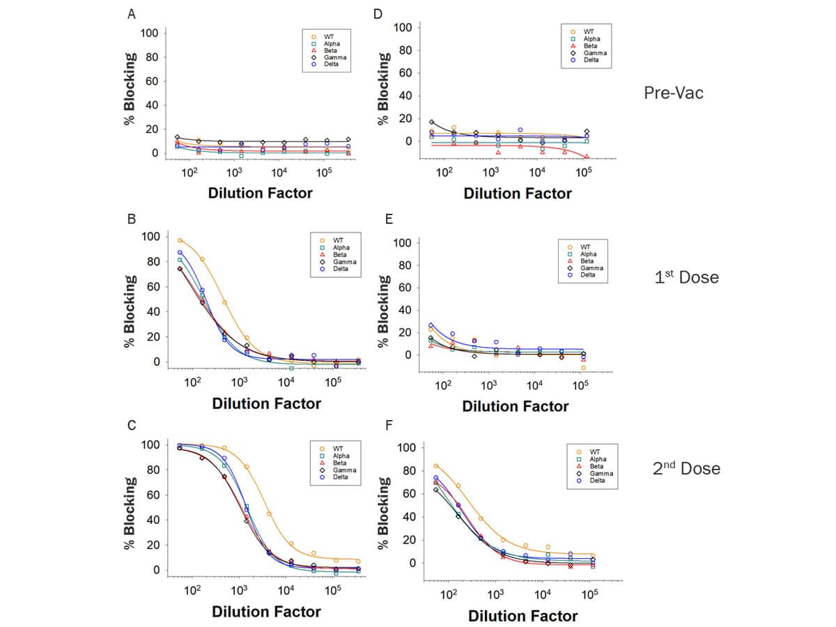 Data showing blocking ability of antibodies from vaccinated individuals to disrupt the Spike protein to ACE-2 interaction in ELISA