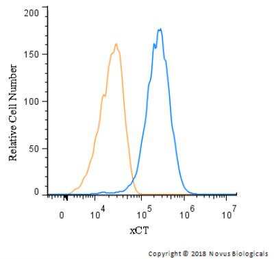 Flow Cytometry: xCT Antibody - BSA Free [NB300-317]