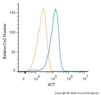 Flow Cytometry: xCT Antibody - BSA Free [NB300-318]