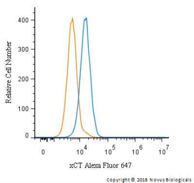 Flow Cytometry: xCT Antibody - BSA Free [NB300-318]