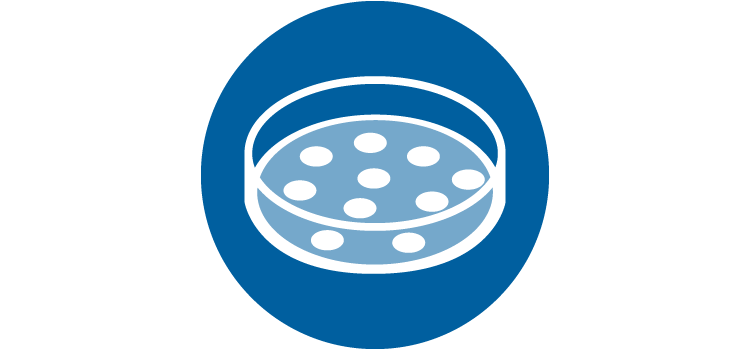 Get consistent cell growth and maturation of neural cells and neural stem cells with Bio-Techne’s media and supplements.