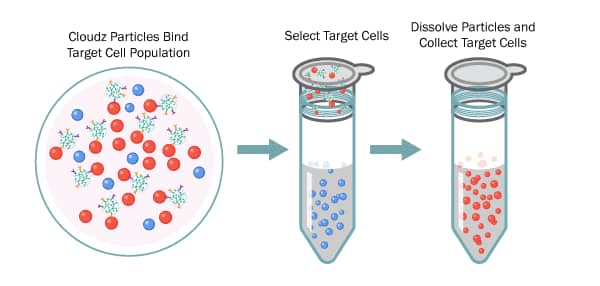 Cell and Gene Therapy