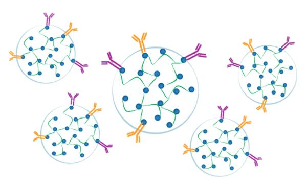 Cell and Gene Therapy