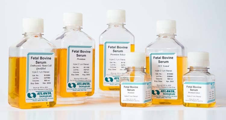 Neural Media and Fetal Bovine Serum (FBS) Reagents for Optimizing Cell Health