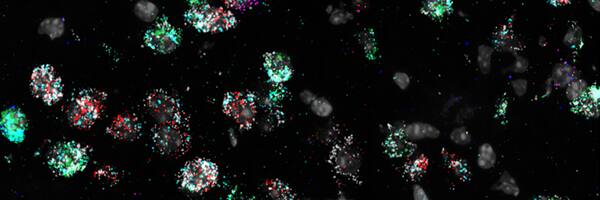 Spatial Multi-Omic Discovery Symposium UK