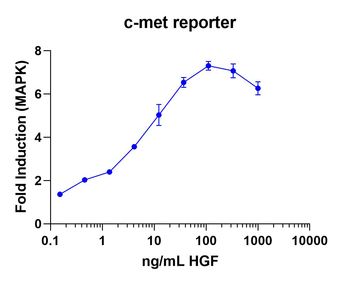 Human HGF (NS0expressed) Protein (294HGN) BioTechne