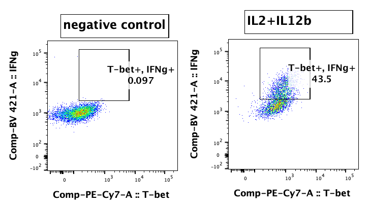 Recombinant Mouse IL-4 Protein, CF (404-ML/CF): Novus Biologicals