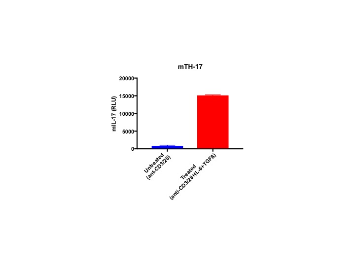 Mouse IL-17 DuoSet ELISA (DY421) | Bio-Techne