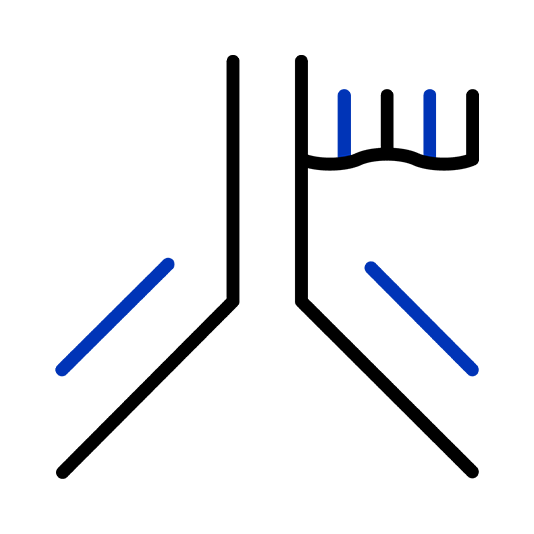 Conjugated Antibody Icon