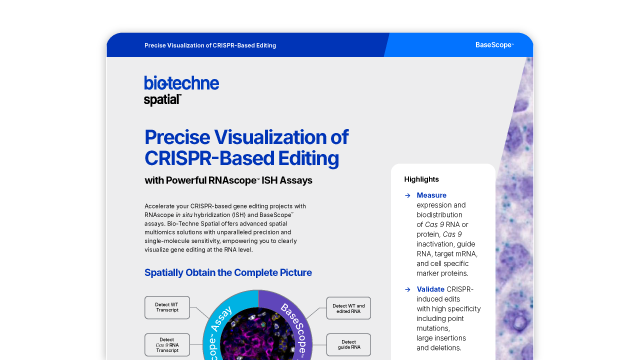 Precise Visualization of CRISPR-Based Editing with Powerful RNAscope ISH Assays