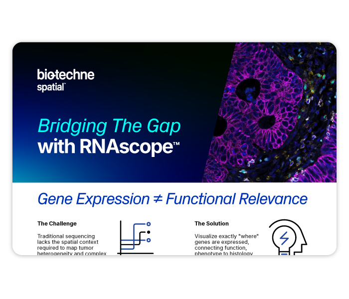 RNAscope Infographic Thumbnail